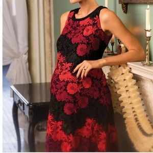 Taylor for Pea in the Pod Red Lace Maternity Dress